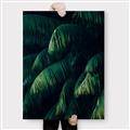 Picture of Greenleaf I _GroupedProduct_Rectangle_Portrait_Photography _GroupedProduct_Rectangle_Portrait_Canvas_