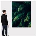 Picture of Greenleaf I _GroupedProduct_Rectangle_Portrait_Photography _GroupedProduct_Rectangle_Portrait_Canvas_