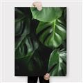 Picture of Greenleaf II _GroupedProduct_Rectangle_Portrait_Photography _GroupedProduct_Rectangle_Portrait_Canvas_