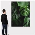 Picture of Greenleaf II _GroupedProduct_Rectangle_Portrait_Photography _GroupedProduct_Rectangle_Portrait_Canvas_