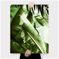 Picture of Greenleaf III _GroupedProduct_Rectangle_Portrait_Photography _GroupedProduct_Rectangle_Portrait_Canvas_