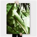 Picture of Greenleaf III _GroupedProduct_Rectangle_Portrait_Photography _GroupedProduct_Rectangle_Portrait_Canvas_