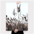 Picture of In the Fields _GroupedProduct_Rectangle_Portrait_Photography _GroupedProduct_Rectangle_Portrait_Canvas_