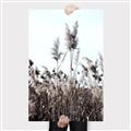 Picture of In the Fields _GroupedProduct_Rectangle_Portrait_Photography _GroupedProduct_Rectangle_Portrait_Canvas_