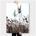 Picture of In the Fields _GroupedProduct_Rectangle_Portrait_Photography _GroupedProduct_Rectangle_Portrait_Canvas_