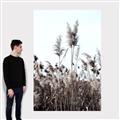 Picture of In the Fields _GroupedProduct_Rectangle_Portrait_Photography _GroupedProduct_Rectangle_Portrait_Canvas_