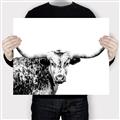Picture of Jackson, The Bull  _GroupedProduct_Rectangle_Landscape_Photography _GroupedProduct_Rectangle_Landscape_Canvas_