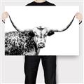Picture of Jackson, The Bull  _GroupedProduct_Rectangle_Landscape_Photography _GroupedProduct_Rectangle_Landscape_Canvas_