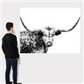 Picture of Jackson, The Bull  _GroupedProduct_Rectangle_Landscape_Photography _GroupedProduct_Rectangle_Landscape_Canvas_