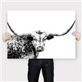 Picture of Jackson, The Bull  _GroupedProduct_Rectangle_Landscape_Photography _GroupedProduct_Rectangle_Landscape_Canvas_
