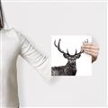 Picture of James, the Stag  _GroupedProduct_Square_Photography _GroupedProduct_Square_Canvas_