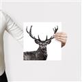 Picture of James, the Stag  _GroupedProduct_Square_Photography _GroupedProduct_Square_Canvas_