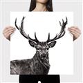 Picture of James, the Stag  _GroupedProduct_Square_Photography _GroupedProduct_Square_Canvas_