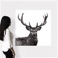 Picture of James, the Stag  _GroupedProduct_Square_Photography _GroupedProduct_Square_Canvas_