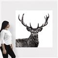 Picture of James, the Stag  _GroupedProduct_Square_Photography _GroupedProduct_Square_Canvas_