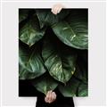 Picture of Jungle Leaves  _GroupedProduct_Rectangle_Portrait_Photography _GroupedProduct_Rectangle_Portrait_Canvas_