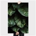 Picture of Jungle Leaves  _GroupedProduct_Rectangle_Portrait_Photography _GroupedProduct_Rectangle_Portrait_Canvas_