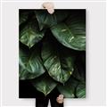Picture of Jungle Leaves  _GroupedProduct_Rectangle_Portrait_Photography _GroupedProduct_Rectangle_Portrait_Canvas_