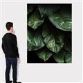 Picture of Jungle Leaves  _GroupedProduct_Rectangle_Portrait_Photography _GroupedProduct_Rectangle_Portrait_Canvas_