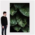 Picture of Jungle Leaves  _GroupedProduct_Rectangle_Portrait_Photography _GroupedProduct_Rectangle_Portrait_Canvas_