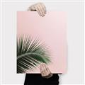 Picture of Leaves on Pink _GroupedProduct_Rectangle_Portrait_Photography _GroupedProduct_Rectangle_Portrait_Canvas_