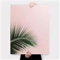 Picture of Leaves on Pink _GroupedProduct_Rectangle_Portrait_Photography _GroupedProduct_Rectangle_Portrait_Canvas_
