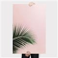 Picture of Leaves on Pink _GroupedProduct_Rectangle_Portrait_Photography _GroupedProduct_Rectangle_Portrait_Canvas_