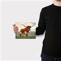 Picture of Life of a Bull _GroupedProduct_Rectangle_Landscape_Photography _GroupedProduct_Rectangle_Landscape_Canvas_