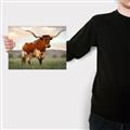 Picture of Life of a Bull _GroupedProduct_Rectangle_Landscape_Photography _GroupedProduct_Rectangle_Landscape_Canvas_