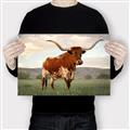 Picture of Life of a Bull _GroupedProduct_Rectangle_Landscape_Photography _GroupedProduct_Rectangle_Landscape_Canvas_