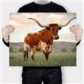 Picture of Life of a Bull _GroupedProduct_Rectangle_Landscape_Photography _GroupedProduct_Rectangle_Landscape_Canvas_