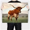 Picture of Life of a Bull _GroupedProduct_Rectangle_Landscape_Photography _GroupedProduct_Rectangle_Landscape_Canvas_