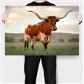 Picture of Life of a Bull _GroupedProduct_Rectangle_Landscape_Photography _GroupedProduct_Rectangle_Landscape_Canvas_