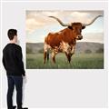 Picture of Life of a Bull _GroupedProduct_Rectangle_Landscape_Photography _GroupedProduct_Rectangle_Landscape_Canvas_