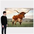 Picture of Life of a Bull _GroupedProduct_Rectangle_Landscape_Photography _GroupedProduct_Rectangle_Landscape_Canvas_
