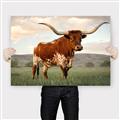 Picture of Life of a Bull _GroupedProduct_Rectangle_Landscape_Photography _GroupedProduct_Rectangle_Landscape_Canvas_