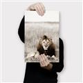 Picture of Lion Stare _GroupedProduct_Rectangle_Portrait_Photography _GroupedProduct_Rectangle_Portrait_Canvas_
