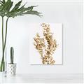 Picture of Dried Eucalyptus   _GroupedProduct_Rectangle_Portrait_Photography _GroupedProduct_Rectangle_Portrait_Canvas_