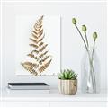 Picture of Dried Fern Leaf  _GroupedProduct_Rectangle_Portrait_Photography _GroupedProduct_Rectangle_Portrait_Canvas_