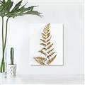 Picture of Dried Fern Leaf  _GroupedProduct_Rectangle_Portrait_Photography _GroupedProduct_Rectangle_Portrait_Canvas_