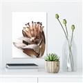 Picture of Dried Flower I  _GroupedProduct_Rectangle_Portrait_Photography _GroupedProduct_Rectangle_Portrait_Canvas_