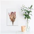 Picture of Dried Flower II _GroupedProduct_Rectangle_Portrait_Photography _GroupedProduct_Rectangle_Portrait_Canvas_
