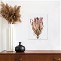 Picture of Dried Flower II _GroupedProduct_Rectangle_Portrait_Photography _GroupedProduct_Rectangle_Portrait_Canvas_