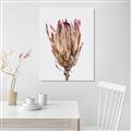 Picture of Dried Flower II _GroupedProduct_Rectangle_Portrait_Photography _GroupedProduct_Rectangle_Portrait_Canvas_