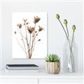 Picture of Dried Flower III  _GroupedProduct_Rectangle_Portrait_Photography _GroupedProduct_Rectangle_Portrait_Canvas_