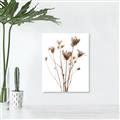 Picture of Dried Flower III  _GroupedProduct_Rectangle_Portrait_Photography _GroupedProduct_Rectangle_Portrait_Canvas_