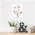 Picture of Dried Lilies  _GroupedProduct_Rectangle_Portrait_Photography _GroupedProduct_Rectangle_Portrait_Canvas_