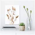 Picture of Dried Lilies  _GroupedProduct_Rectangle_Portrait_Photography _GroupedProduct_Rectangle_Portrait_Canvas_