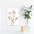 Picture of Dried Lilies  _GroupedProduct_Rectangle_Portrait_Photography _GroupedProduct_Rectangle_Portrait_Canvas_