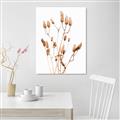Picture of Dried Lilies  _GroupedProduct_Rectangle_Portrait_Photography _GroupedProduct_Rectangle_Portrait_Canvas_